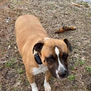 Meet your Posher, Claudette